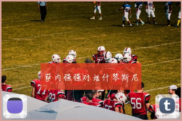 萨内强强对话什琴斯尼