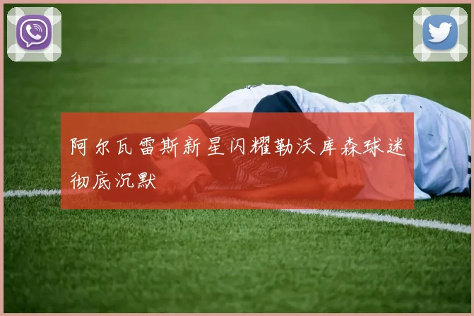 阿尔瓦雷斯新星闪耀勒沃库森球迷彻底沉默
