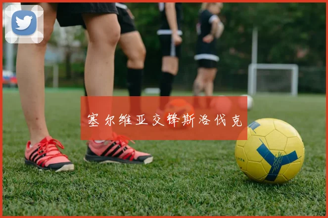 塞尔维亚交锋斯洛伐克