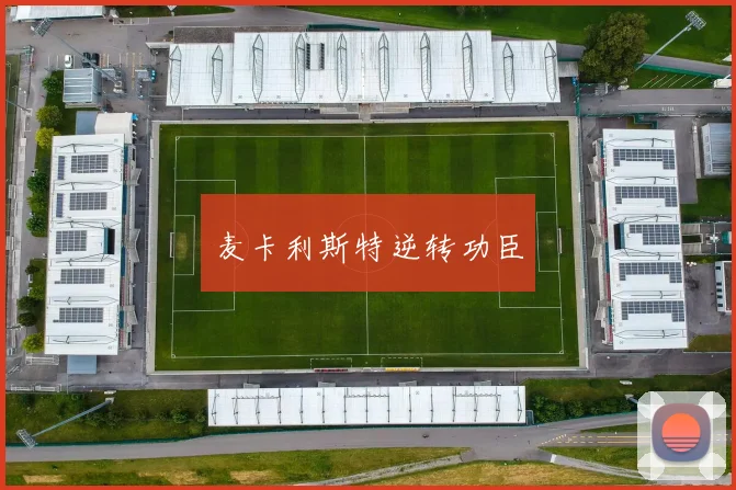 麦卡利斯特逆转功臣