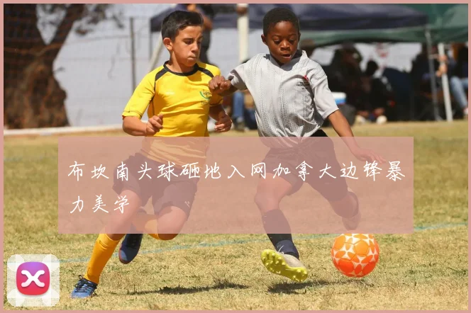 布坎南头球砸地入网加拿大边锋暴力美学