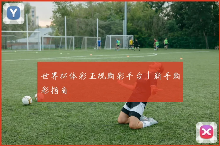 世界杯体彩正规购彩平台｜新手购彩指南