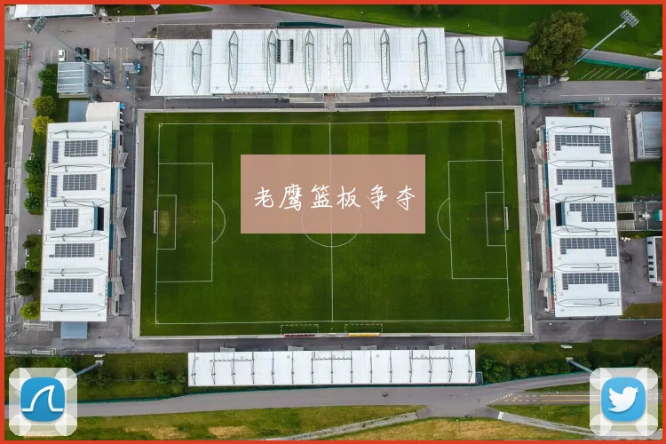 老鹰篮板争夺
