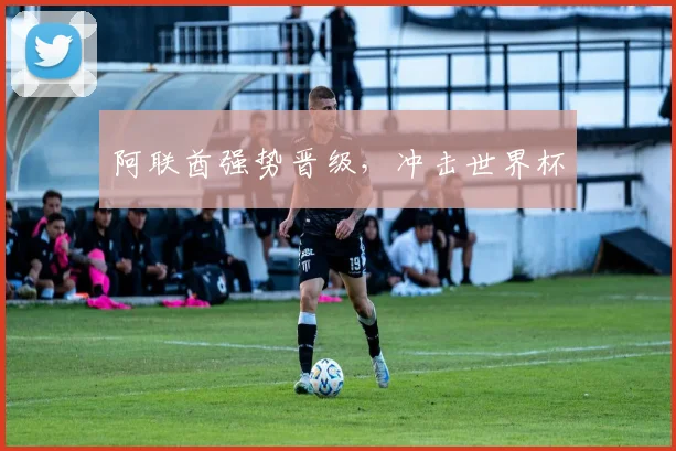 阿联酋强势晋级，冲击世界杯