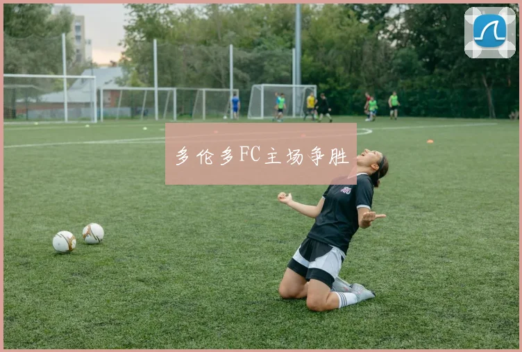 多伦多FC主场争胜