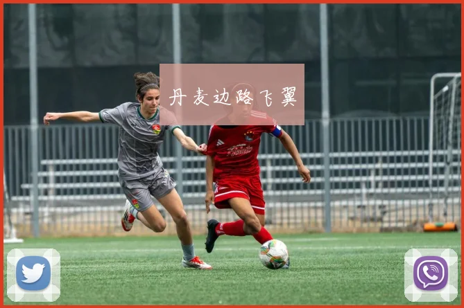 丹麦边路飞翼