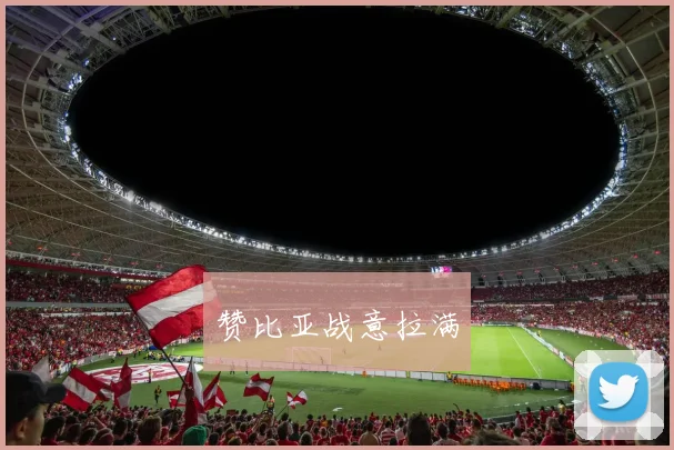 赞比亚战意拉满