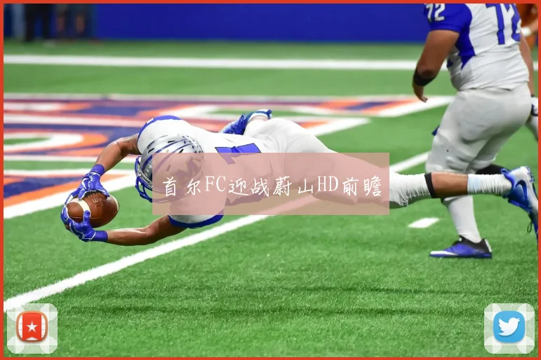 首尔FC迎战蔚山HD前瞻