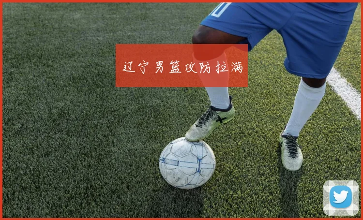 辽宁男篮攻防拉满