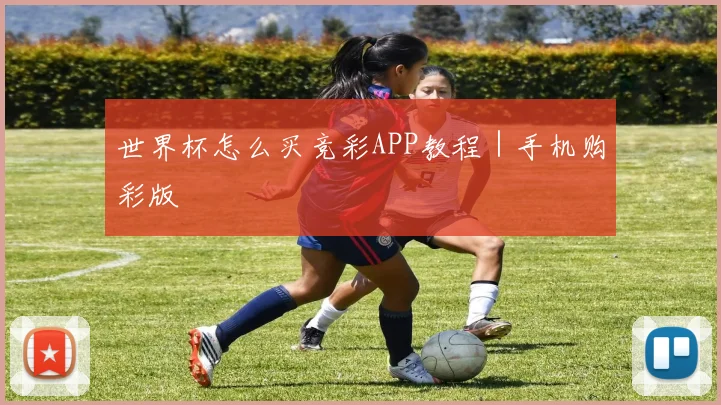 世界杯怎么买竞彩APP教程｜手机购彩版
