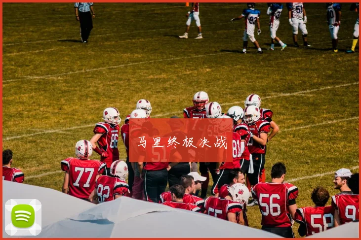 马里终极决战