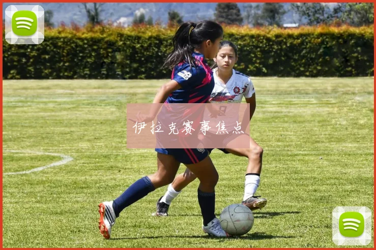 伊拉克赛事焦点