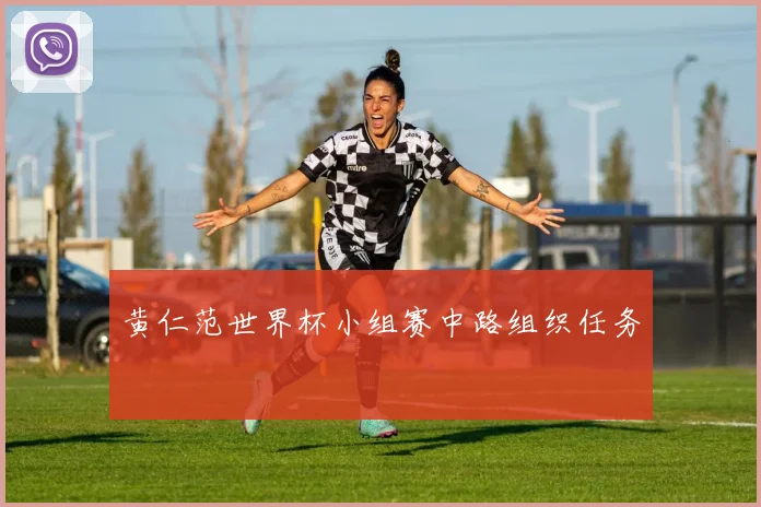 黄仁范世界杯小组赛中路组织任务