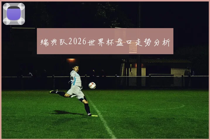 瑞典队2026世界杯盘口走势分析