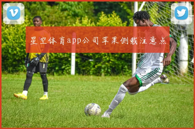 星空体育app公司苹果侧载注意点