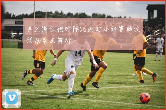 克里斯伍德对阵比利时小组赛助攻预期看点解析